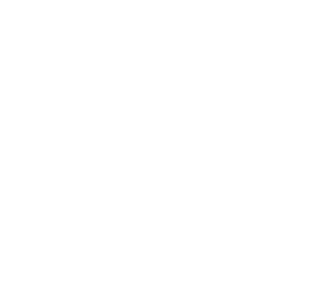 World Winter Cities Association for Mayors